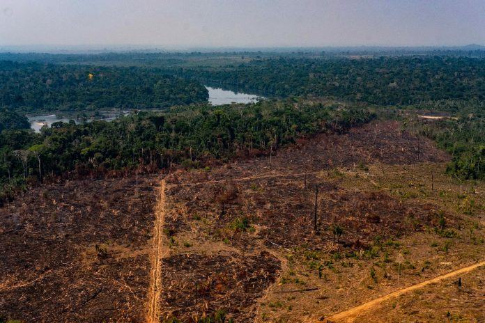desmatamento licenciamento ambiental